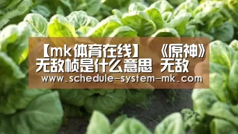 mk体育注册
