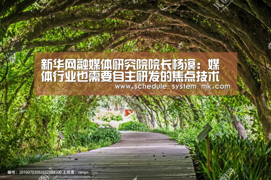 新华网融媒体研究院院长杨溟:媒体行业也需要自主研发的焦点技术“mk体育在线”(图1) mk体育在线