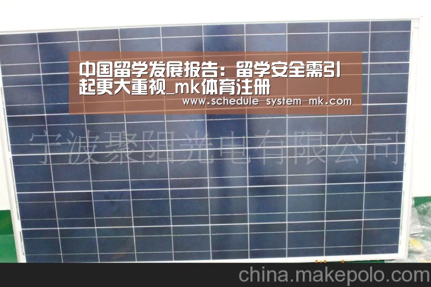 中国留学发展报告:留学安全需引起更大重视_mk体育注册(图1) mk体育注册