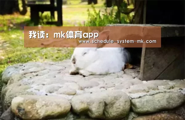 我读:mk体育app(图7) mk体育注册